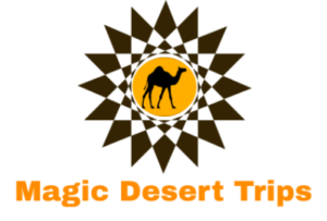 Magic Desert Trips