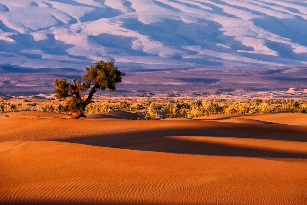 Ruta al desierto 9 dias desde Tánger a Marrakech